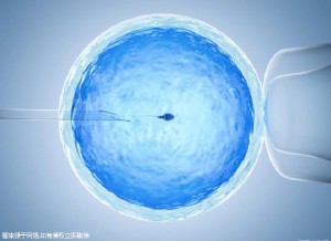 紫韵医疗